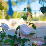 Borgo Dei Lecci Puglia Bed & Breakfast 4*