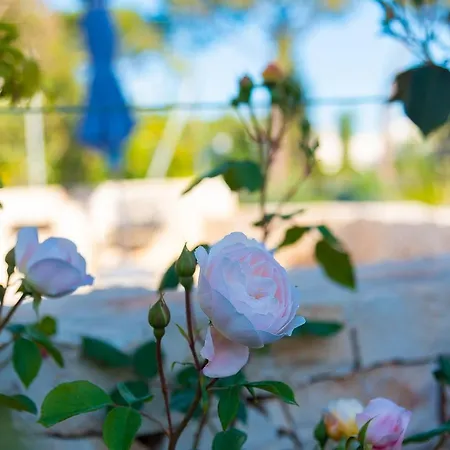 Borgo Dei Lecci Puglia Bed & Breakfast 3*
