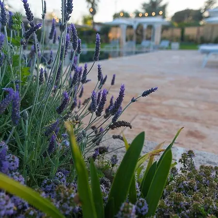 Borgo Dei Lecci Puglia Bed & Breakfast Selva Di Fasano