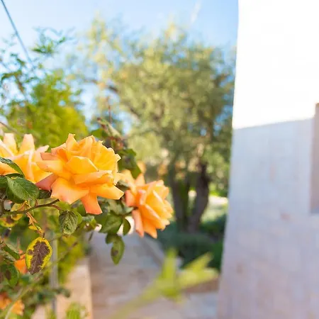 Borgo Dei Lecci Puglia