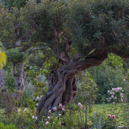 Borgo Dei Lecci Puglia