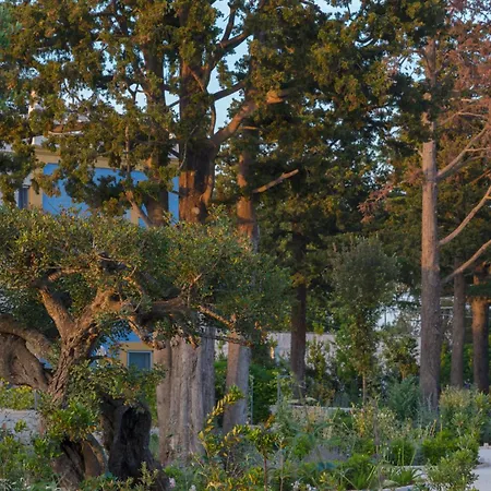 فندق مبيت وإفطار Borgo Dei Lecci Puglia سيلفا دو فاسانو