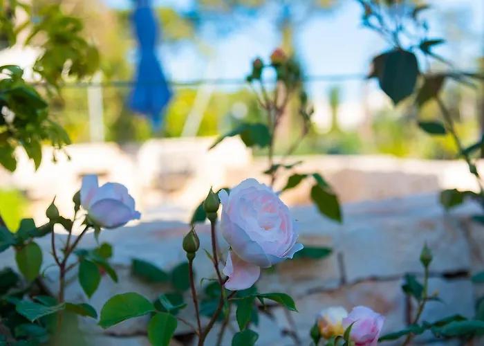 Borgo Dei Lecci Puglia فندق مبيت وإفطار 4*