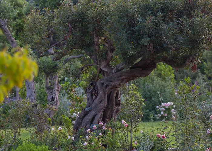 Borgo Dei Lecci Puglia